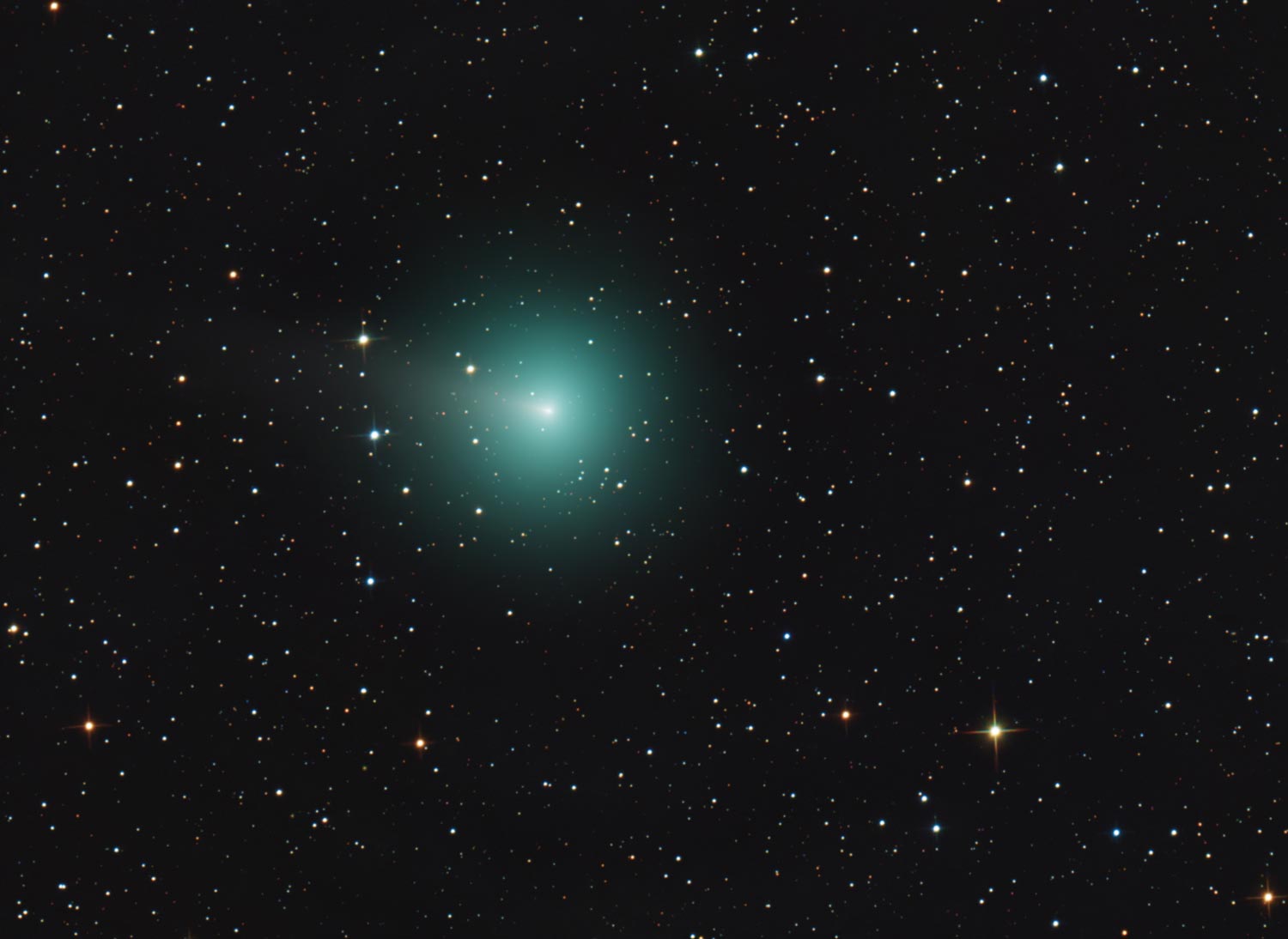 C/2025 R2 (Swan) cometa di lungo periodo.
