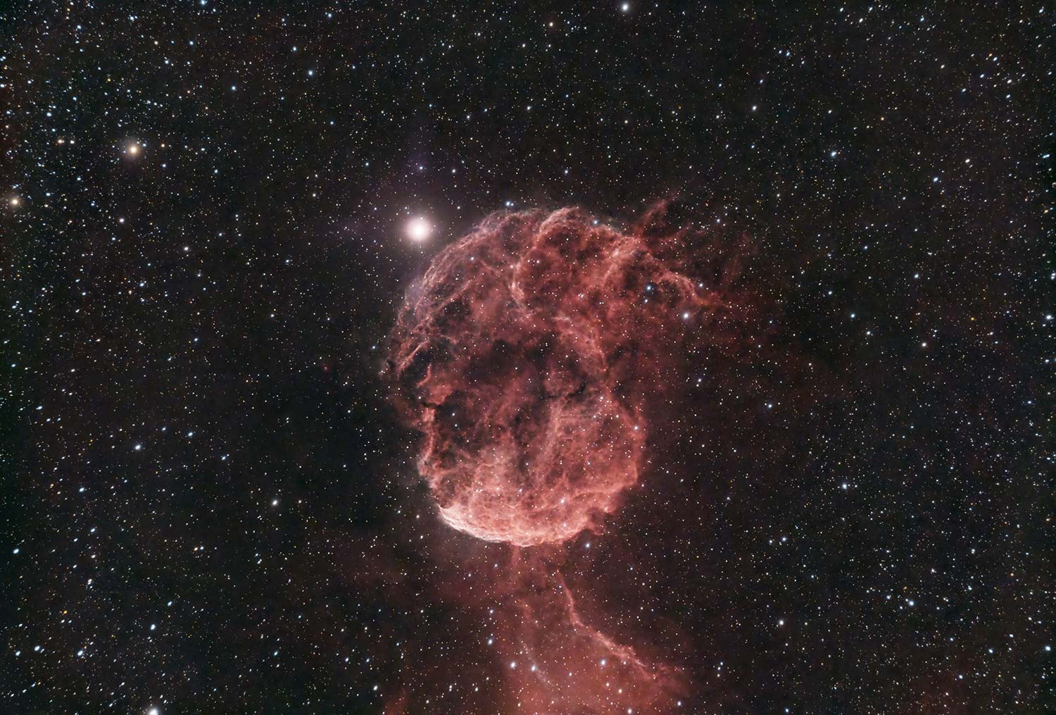 IC443 Nebulosa Medusa