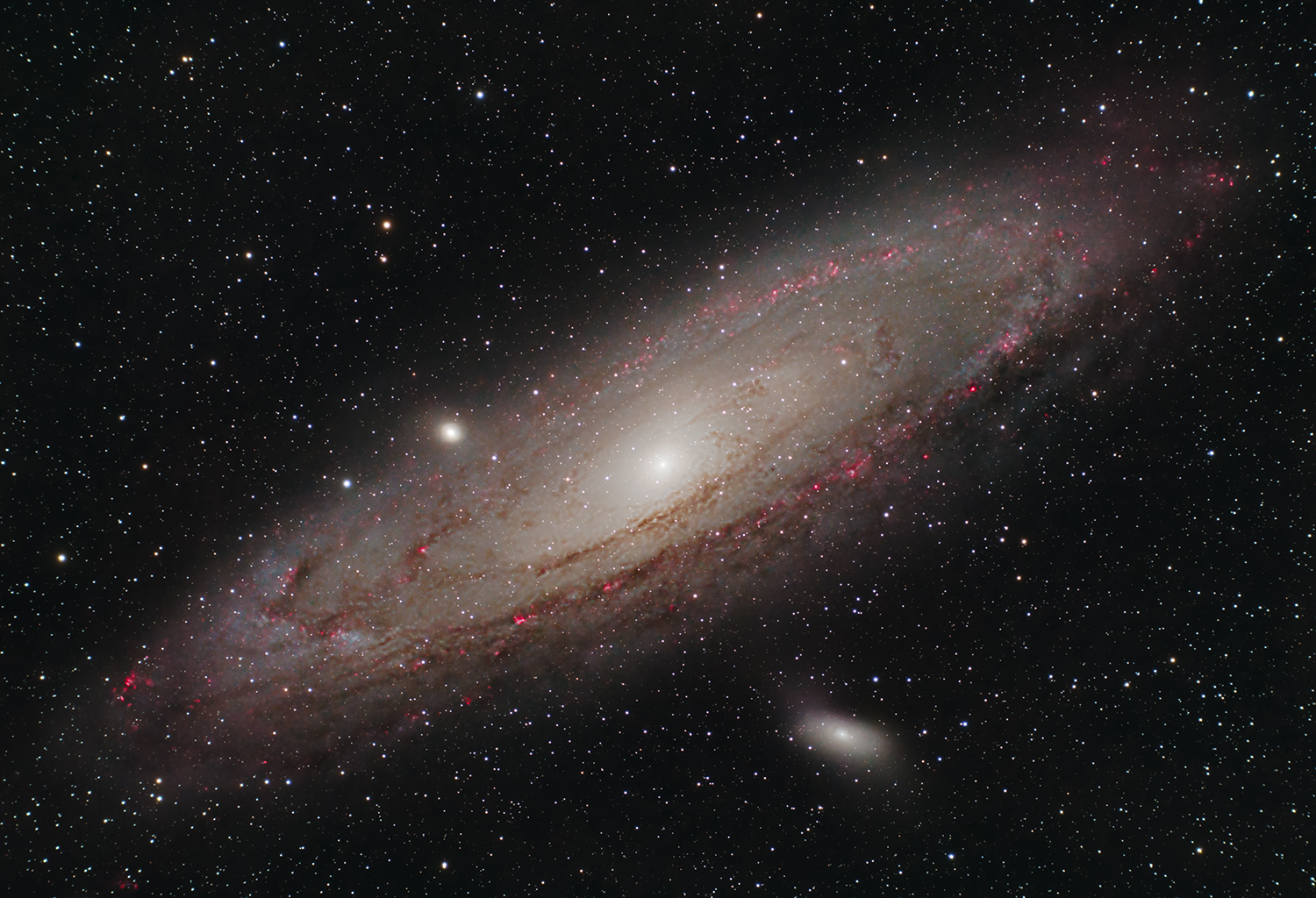 M31 Galassia di Andromeda