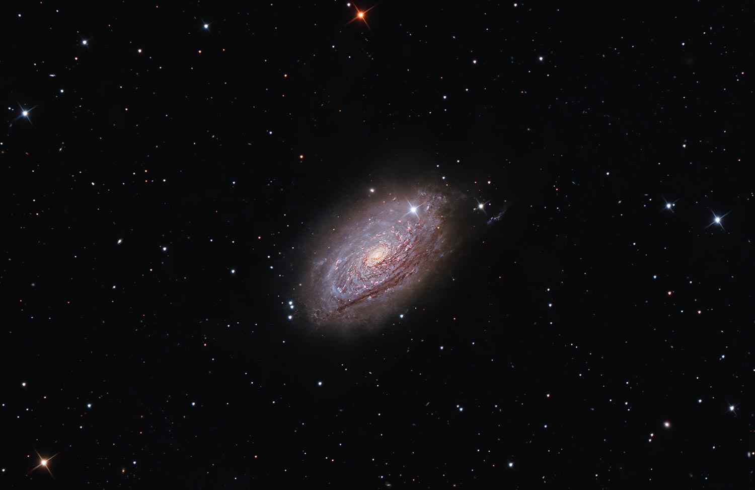 M63 Galassia Girasole