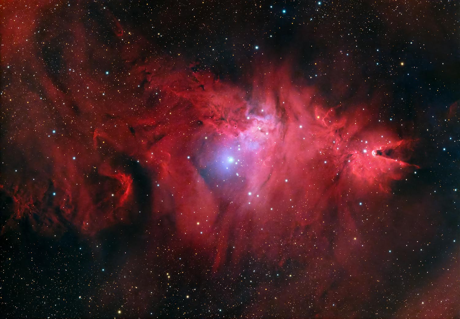 NGC 2264 Nebulosa Cono e albero di Natale
