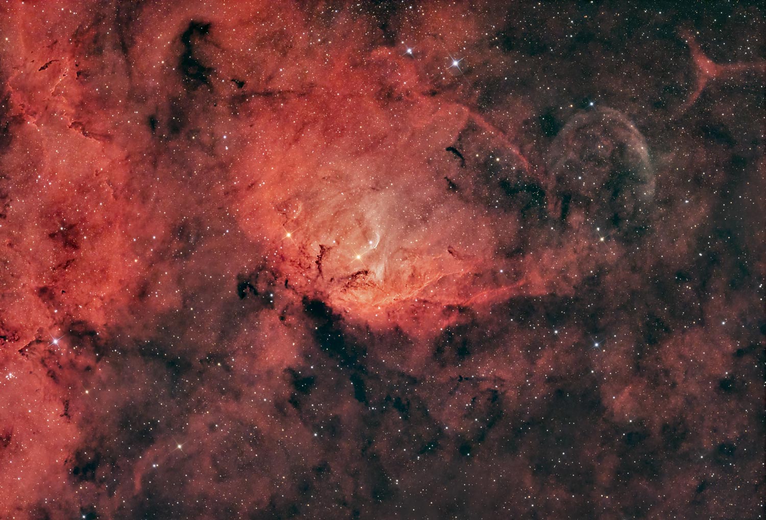 Sh2-101 Nebulosa Tulipano