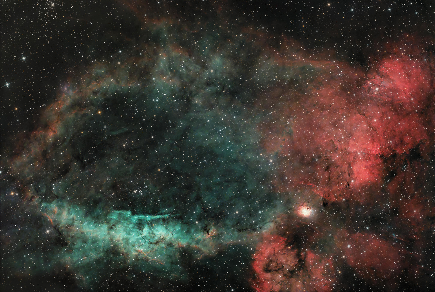 Sh2-157 Chela di Aragosta