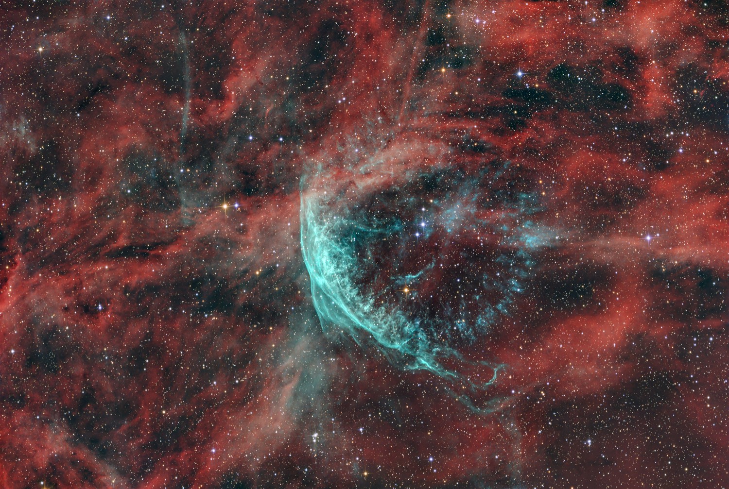 Stella di Wolf-Rayet WR 134