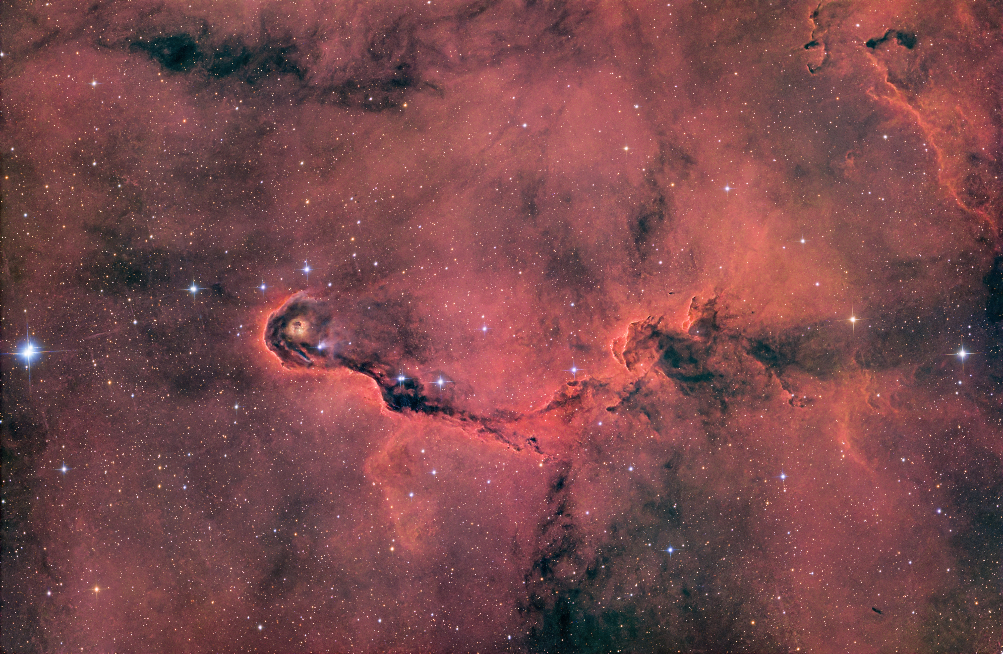 vdB142 Nebulosa Proboscide di Elefante