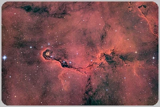 vdB142 Nebulosa Proboscide di Elefante